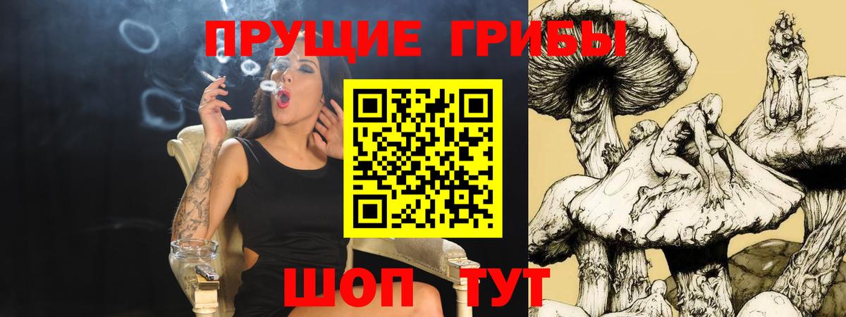 Псилоцибиновые грибы Magic Shrooms Старая Русса